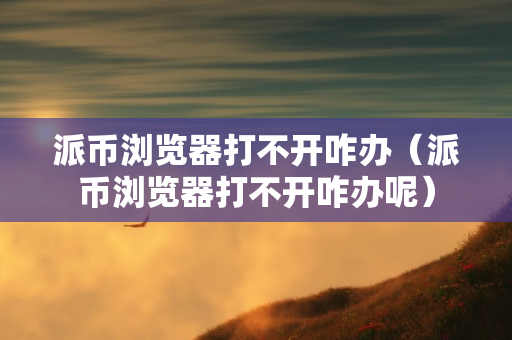 派币浏览器打不开咋办（派币浏览器打不开咋办呢）