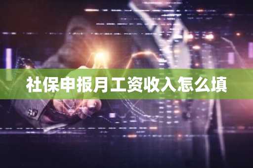 社保申报月工资收入怎么填