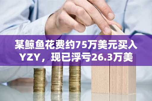 某鲸鱼花费约75万美元买入YZY，现已浮亏26.3万美元