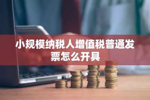 小规模纳税人增值税普通发票怎么开具