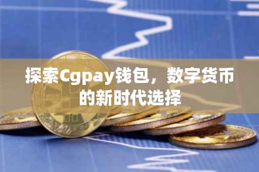 探索Cgpay钱包，数字货币的新时代选择