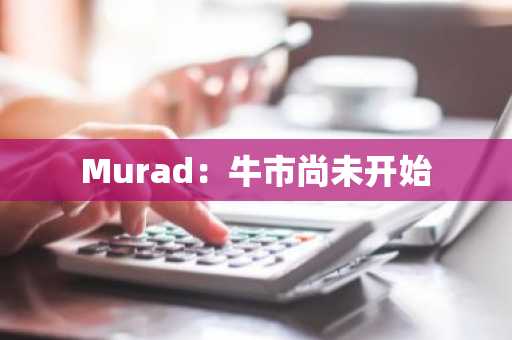 Murad：牛市尚未开始