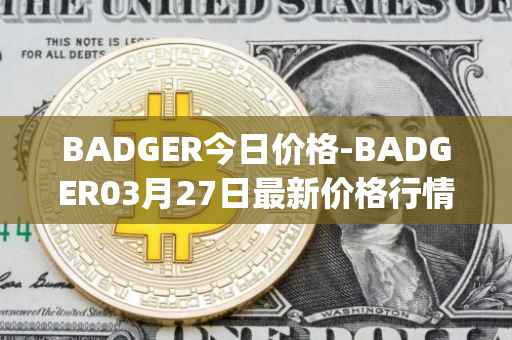 BADGER今日价格-BADGER03月27日最新价格行情-badger-dao最新走势消息