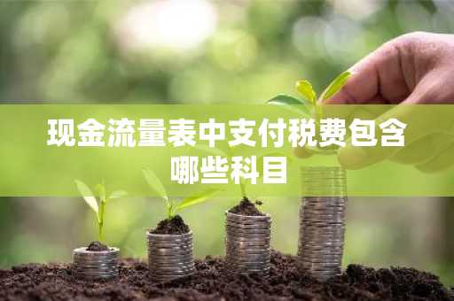 现金流量表中支付税费包含哪些科目