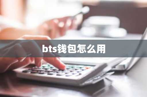 bts钱包怎么用