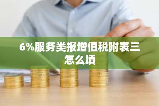 6%服务类报增值税附表三怎么填