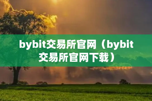 bybit交易所官网（bybit交易所官网下载）