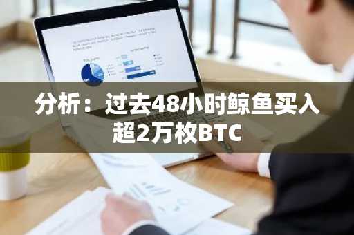 分析：过去48小时鲸鱼买入超2万枚BTC