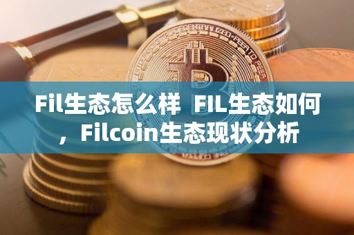 Fil生态怎么样  FIL生态如何，Filcoin生态现状分析