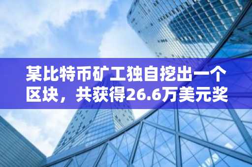 某比特币矿工独自挖出一个区块，共获得26.6万美元奖励