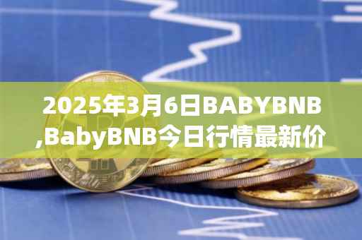 2025年3月6日BABYBNB,BabyBNB今日行情最新价格
