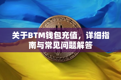 关于BTM钱包充值，详细指南与常见问题解答