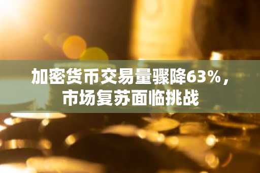 加密货币交易量骤降63%，市场复苏面临挑战