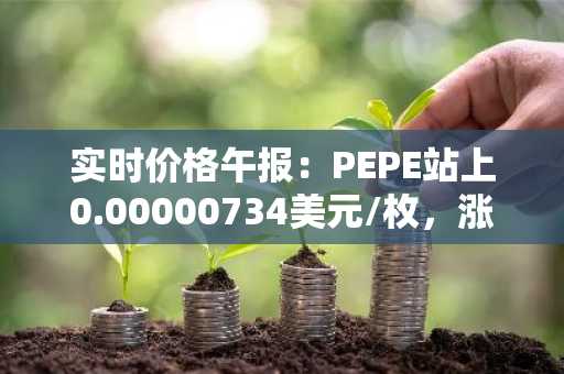 实时价格午报：PEPE站上0.00000734美元/枚，涨幅达3.09%