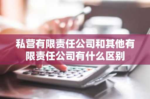 私营有限责任公司和其他有限责任公司有什么区别