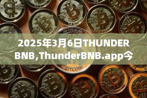 2025年3月6日THUNDERBNB,ThunderBNB.app今日行情最新价格