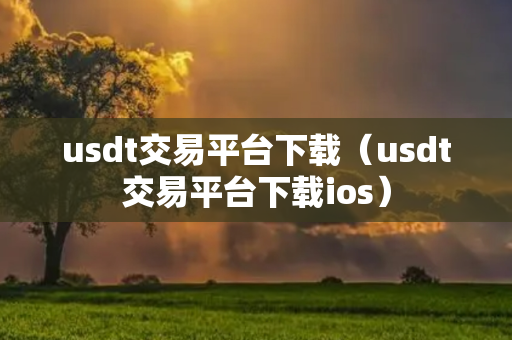 usdt交易平台下载（usdt交易平台下载ios）