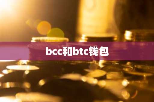 bcc和btc钱包