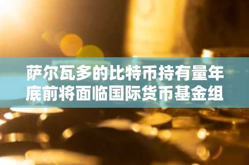 萨尔瓦多的比特币持有量年底前将面临国际货币基金组织的监管