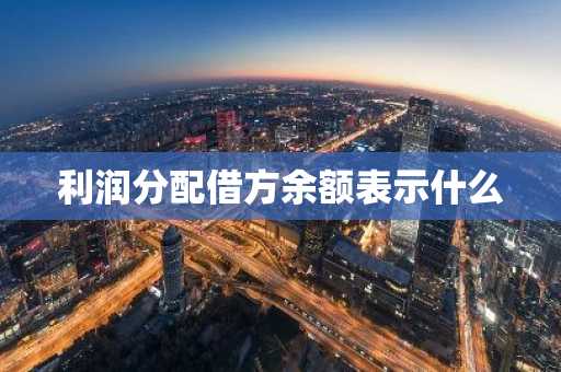 利润分配借方余额表示什么