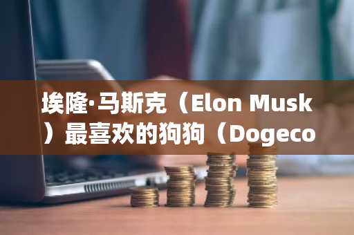 埃隆·马斯克（Elon Musk）最喜欢的狗狗（Dogecoin