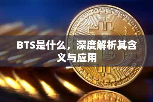 BTS是什么，深度解析其含义与应用