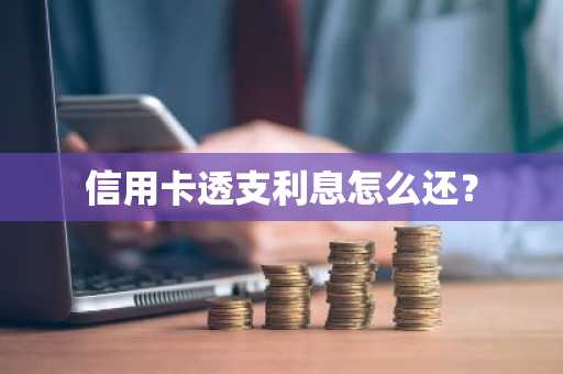 信用卡透支利息怎么还？