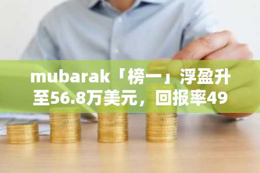 mubarak「榜一」浮盈升至56.8万美元，回报率493倍