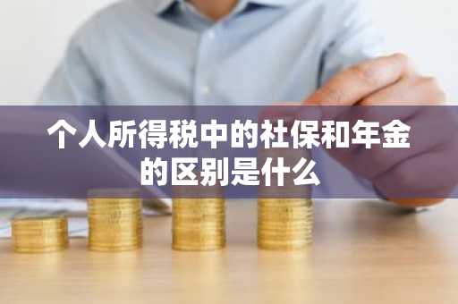 个人所得税中的社保和年金的区别是什么