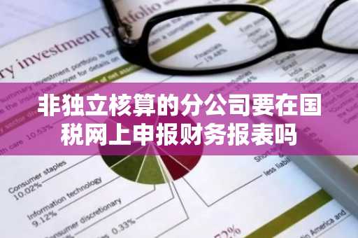 非独立核算的分公司要在国税网上申报财务报表吗