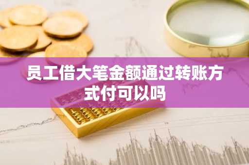 员工借大笔金额通过转账方式付可以吗