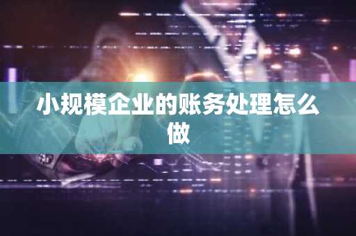 小规模企业的账务处理怎么做