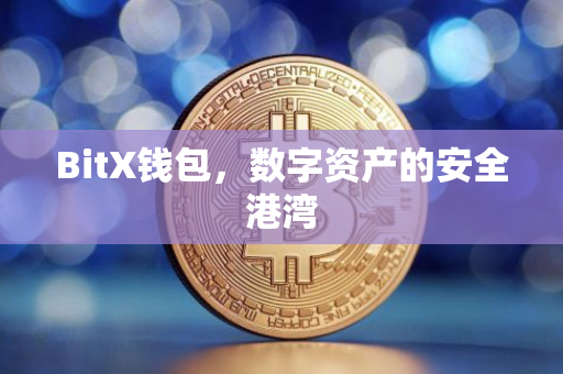 BitX钱包，数字资产的安全港湾