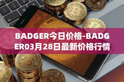 BADGER今日价格-BADGER03月28日最新价格行情-badger-dao最新走势消息