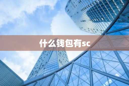 什么钱包有sc