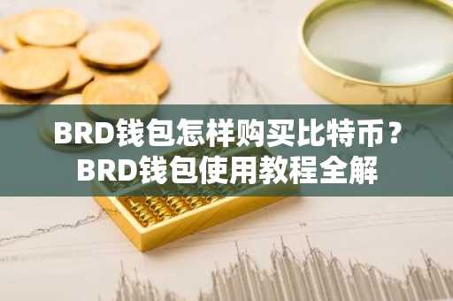 BRD钱包怎样购买比特币？BRD钱包使用教程全解