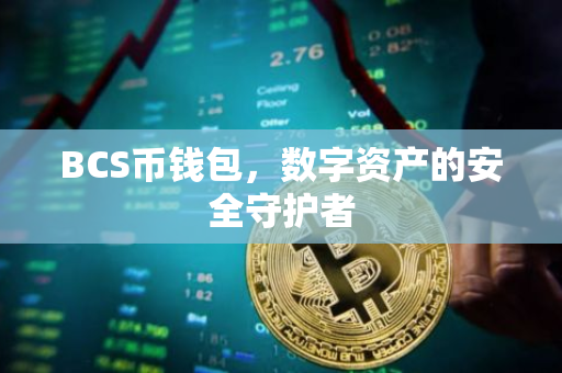 BCS币钱包，数字资产的安全守护者