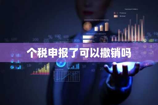 个税申报了可以撤销吗