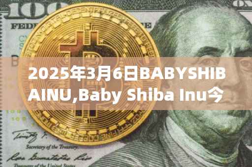 2025年3月6日BABYSHIBAINU,Baby Shiba Inu今日行情最新价格
