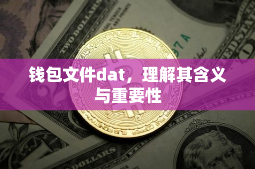 钱包文件dat，理解其含义与重要性