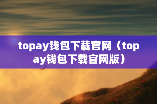 topay钱包下载官网（topay钱包下载官网版）