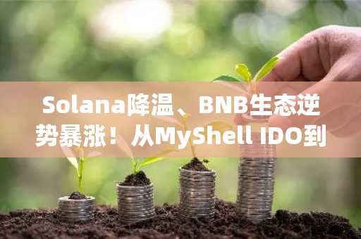 Solana降温、BNB生态逆势暴涨！从MyShell IDO到CZ喊单，揭秘BNB币的价值支撑