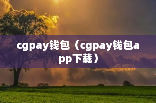 cgpay钱包（cgpay钱包app下载）