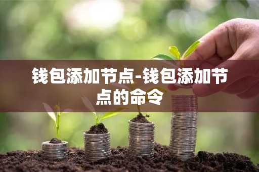 钱包添加节点-钱包添加节点的命令