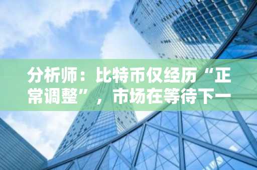 分析师：比特币仅经历“正常调整”，市场在等待下一个叙事