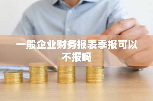 一般企业财务报表季报可以不报吗