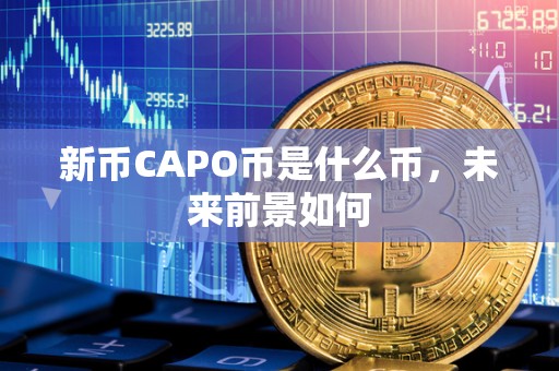 新币CAPO币是什么币,未来前景如何 新币CAPO币是什么币,未来前景如何