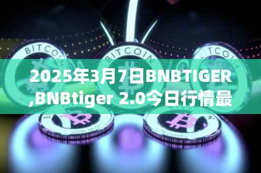 2025年3月7日BNBTIGER,BNBtiger 2.0今日行情最新价格