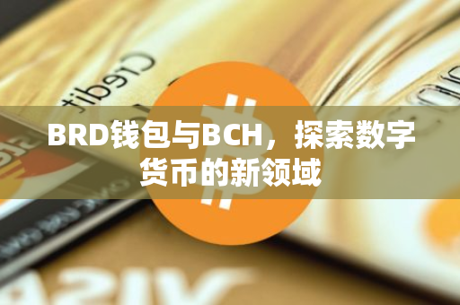 BRD钱包与BCH，探索数字货币的新领域