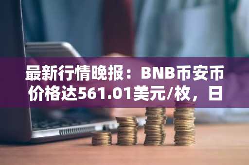 最新行情晚报：BNB币安币价格达561.01美元/枚，日内涨幅1.03%